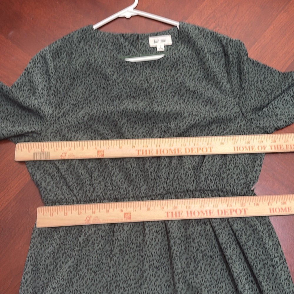 Anthropologie Bohme Green Pleated Sundress with Bishop Sleeves - Picture 8 of 12